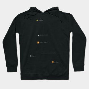 Constellation Cancer Hoodie